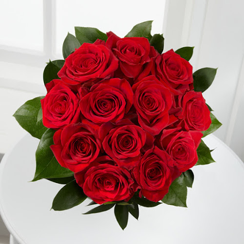 Comentarii opinii despre Kvety domov