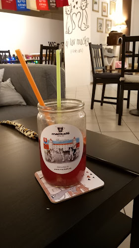 Mačkafé klub - Bratislava