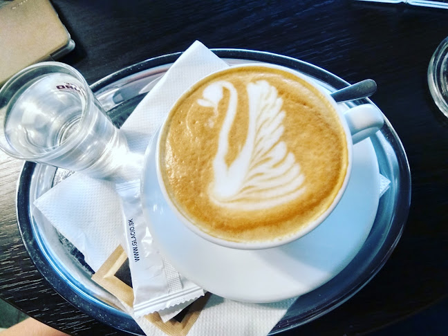 Comentarii opinii despre Glacio Piešťany