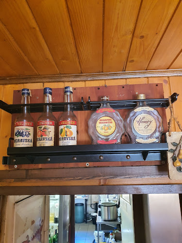 Comentarii opinii despre Remíza-Jelínkova krčma