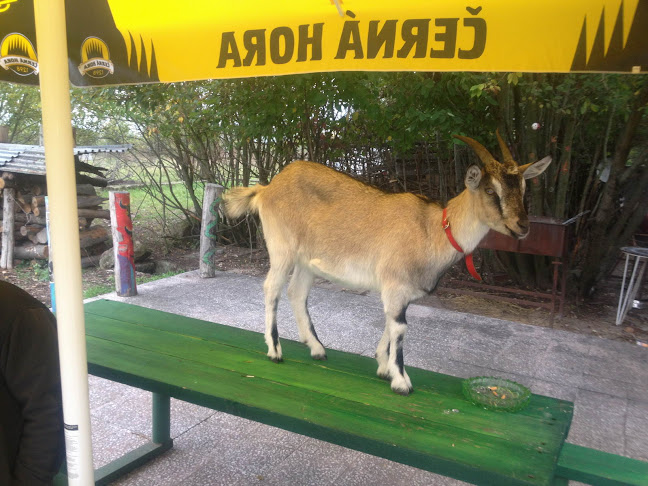 Comentarii opinii despre Hostinec Slniečko