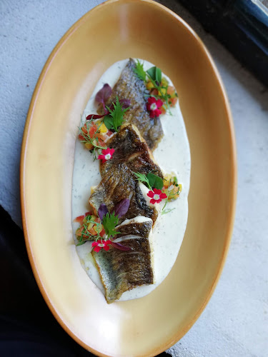 Comentarii opinii despre Pálenica Jelšovce