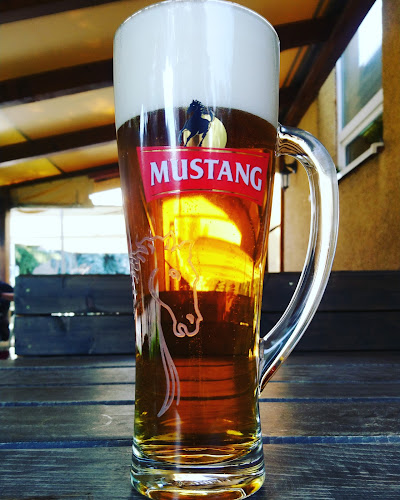 Opinii despre Nostalgia Café & Restaurant în Ružinov - Gastronómia a pohostinstvo