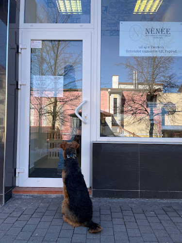 NÉNÉE BOULANGERIE - Poprad centrum - Poprad