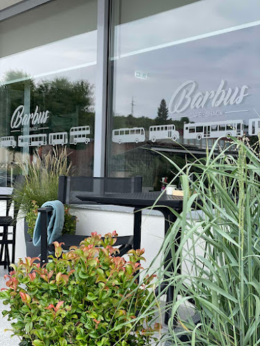 Comentarii opinii despre Barbus cafe & snack