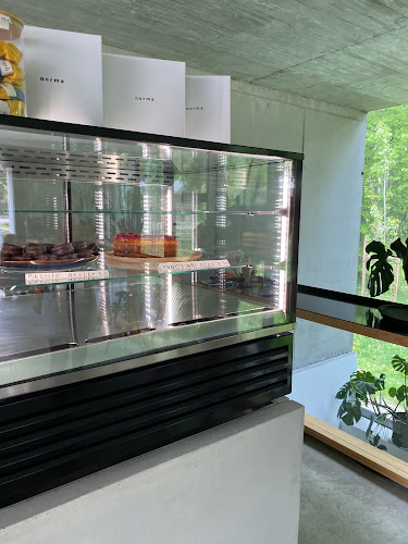 Comentarii opinii despre Norma