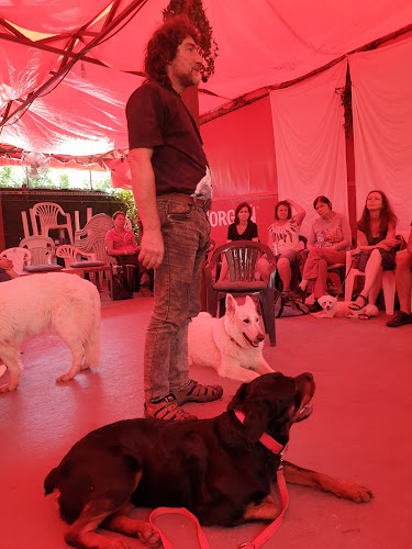 Bistro u Petra - Bratislava