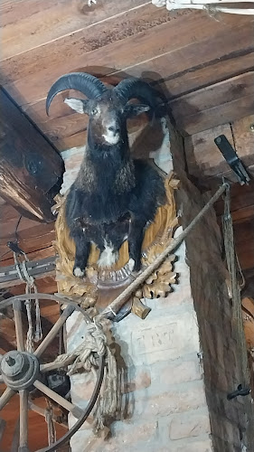 Jozefa Bema 564/4, 943 01 Štúrovo