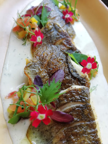 Pálenica Jelšovce - Jelšovce