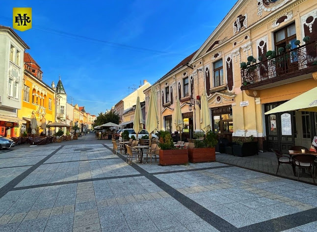 Winterova 1768/42, 921 01 Piešťany