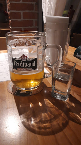 Comentarii opinii despre U Prievozníka