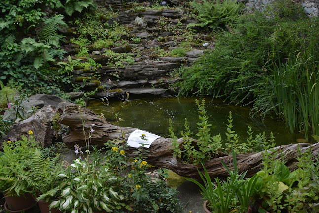 Comentarii opinii despre Pizzeria Kachelman