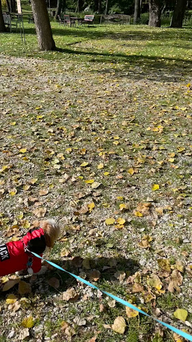 Opinii despre Kaštieľ Fričovce în Fričovce - Gastronómia a pohostinstvo