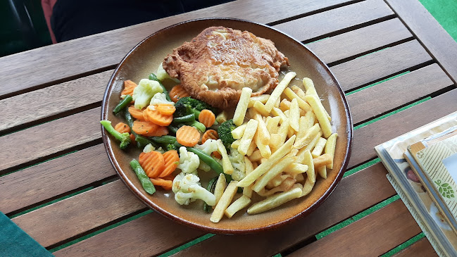 Motorest Salaš u Franka