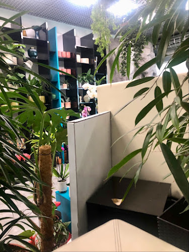 Comentarii opinii despre Garden Cafe & Kvety Victor