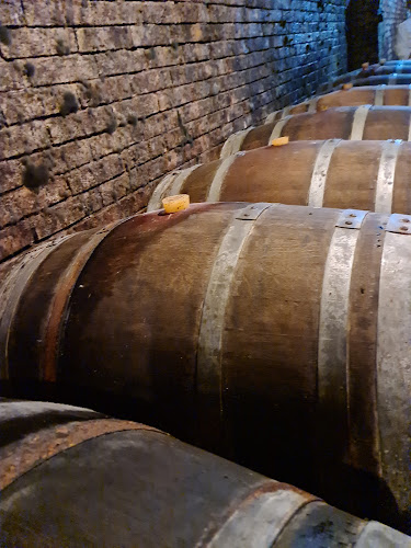 Pivničný rad 635, 946 35 Búč