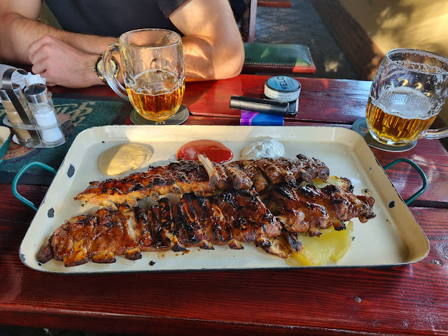 Opinii despre Bizón Urquell Pub în Bratislava - Gastronómia a pohostinstvo