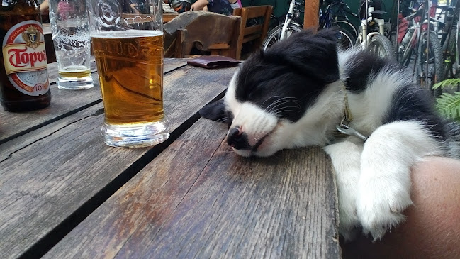 Comentarii opinii despre Denný Bar Pod Orechom