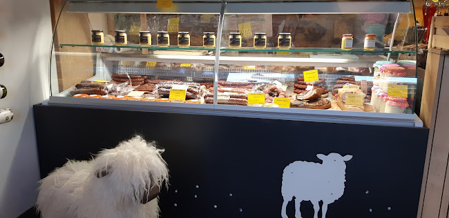 Comentarii opinii despre Košiarik