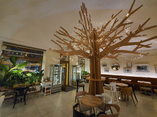 Kaviareň pod stromom