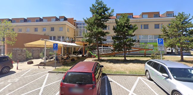 Pizzeria San Vincenzo