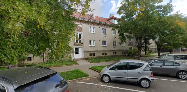 Mariana Hajasová Kováriková Zmrzlina