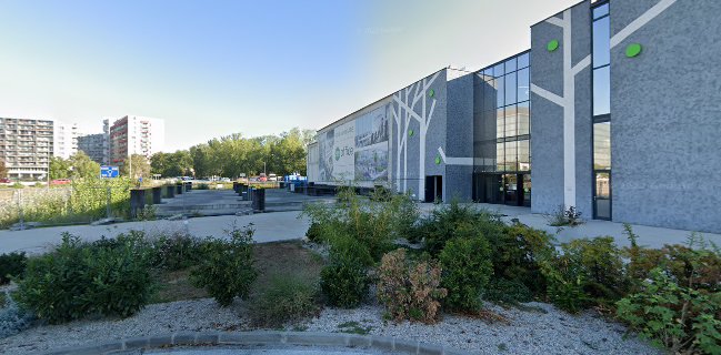Hummus and Couscous Bar