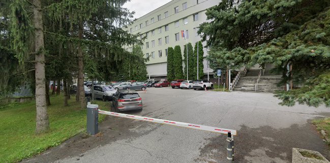 REŠTAURÁCIA JELÉN Kubinčanová Irena