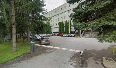 REŠTAURÁCIA JELÉN Kubinčanová Irena