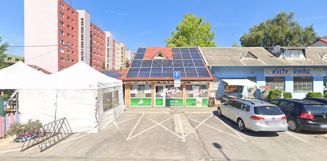 Comentarii opinii despre Presso Bažant