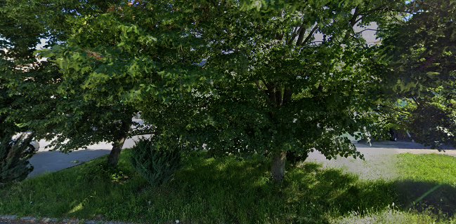 Drink bar Sandokan - herňa