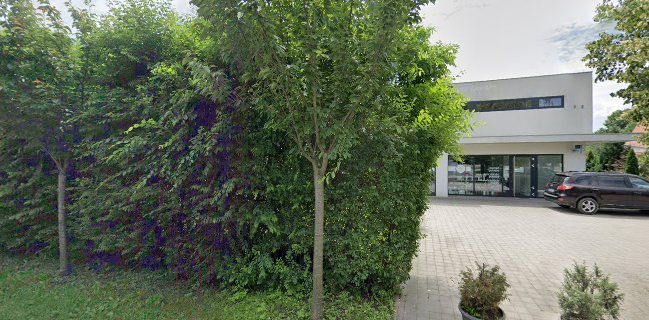 Пицца зволен