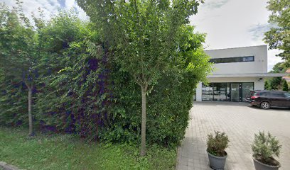 Пицца зволен