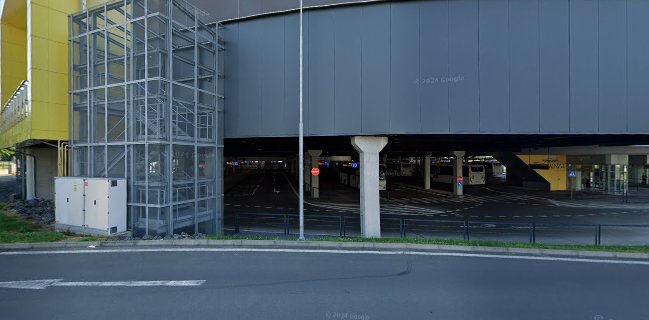 Bonboncha Bubble Tea