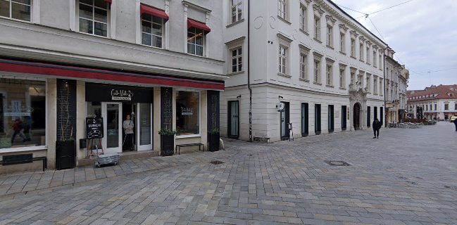 Gatto Matto Ventúrska