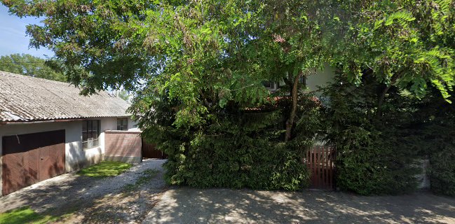 Opinii despre Reštaurácia u Bieleho Vlka în Vlčany - Gastronómia a pohostinstvo