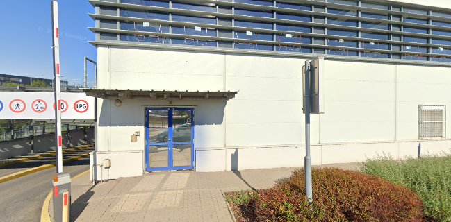 JaboJrout - Žabožrút