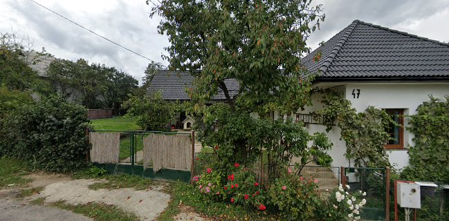 Whitehouse Rozvoz Obedov a Catering