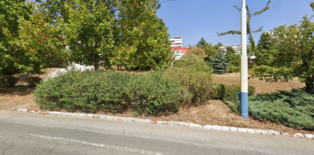 Donášková Služba - Cucabamba