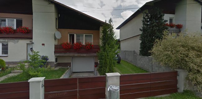 Daniela Košťálová - PIZZERIA ALIZEÉ