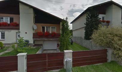 Daniela Košťálová - PIZZERIA ALIZEÉ