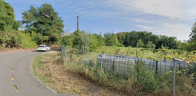 Vinica a mobilná záhrada