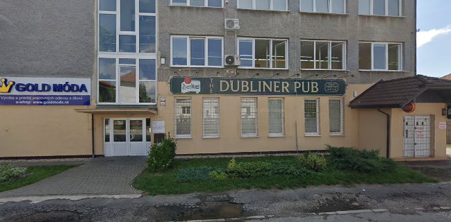 The Dubliner irish pub