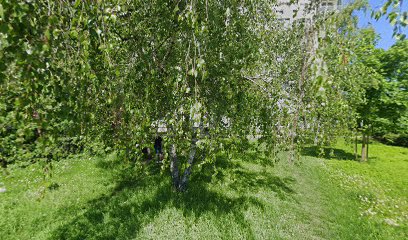 Michal Hečko - Mangetout gastro