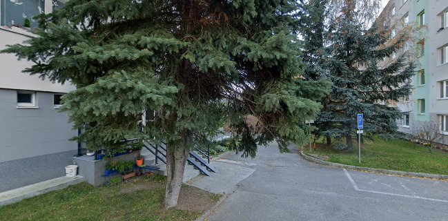 Zanzi bar Nová Baňa