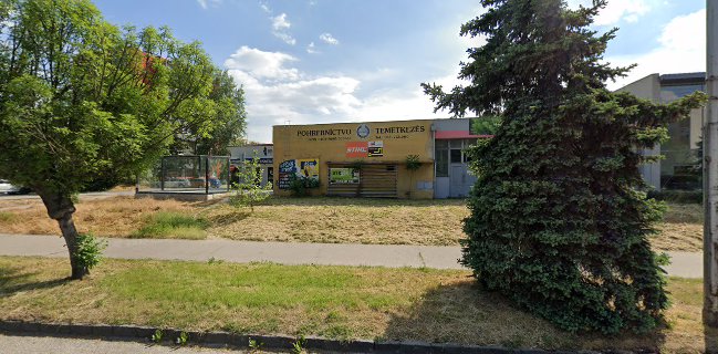 Opinii despre NOE Pub în Komárno - Gastronómia a pohostinstvo